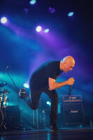 Koncert Humanimal Sosnowiec Listopad 2024