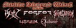 Metalowe Zakończenie Wakacji: Fosfor / Hectic / Sinful Carrion / Iubaris / Lithium