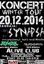 SynapsaNeurokompaniaJaywalkWrocaw
