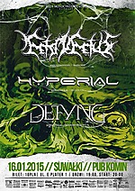 FetoInFetusHyperialDefyingSuwaki