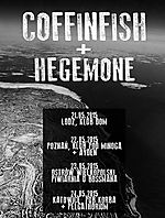 COFFINFISH / HEGEMONE / AYDEN