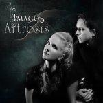 Artrosis, Maciek Niedzielski, Medeah, Imago, Fetish, gothic rock, rock gotycki, gothic metal, 