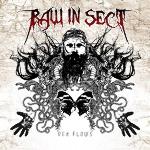 Raw In Sect, Thrash metal, Modern Metal, Groove Metal, Red Flows
