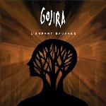 Gojira, Meshuggah, L'enfant Sauvage, death metal, groove metal 