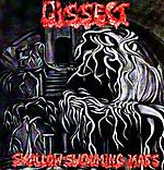 Dissect, death metal, Swallow Swouming Mass, Vincent Scheerman