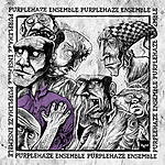 Purplehaze Ensemble, sludge, stoner metal, stoner rock, Phil Anselmo, Down, rock