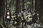 Girugamesh, nu-metal, j-rock, visual kei, electronic Girugamesh, nu-metal, j-rock, visual kei, electronic
