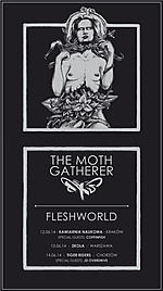 The Moth Gatherer, post rock, metal, Fleshworld