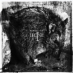 Decline Of The I, metal, black metal, post-black metal, Rebellion Decline Of The I, metal, black metal, post-black metal, Rebellion