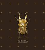 Digit All Love, trip hop, electronica, electro, Augusta Digit All Love, trip hop, electronica, electro, Augusta
