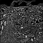 Ritual Chamber, metal, death metal, The Pits of Tentacled Screams Ritual Chamber, metal, death metal, The Pits of Tentacled Screams
