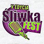 Śliwka Fest 2015, Śliwka Fest, Hate, Jelonek, Vedonist, Anti Tank Nun, Chainsaw
