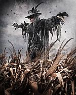 Fields Of The Nephilim, Castle Party 2016, Castle Party, gothic rock