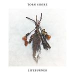 Torn Shore, Lifeburner, post hardcore, hardcore