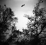 Vidian, Transgressing The Horizon, Arachnophobia Records, A Piece Of The End, post metal, doom metal, sludge metal Vidian, Transgressing The Horizon, Arachnophobia Records, A Piece Of The End, post metal, doom metal, sludge metal