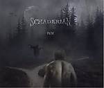 Path, Schaderian, doom metal, Encyclopaedia Metallum, post metal, Megadeth, Dave Mustaine Path, Schaderian, doom metal, Encyclopaedia Metallum, post metal, Megadeth, Dave Mustaine