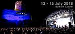 Castle Party, Castle Party 2018, Zamek Bolków, gothic, metal, electro Castle Party, Castle Party 2018, Zamek Bolków, gothic, metal, electro