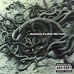 Desultory, death metal, Swallow The Snake, The Metal Archives, melo-death, hardcore Desultory, death metal, Swallow The Snake, The Metal Archives, melo-death, hardcore