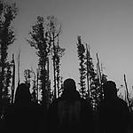 Deszcz, Torn Shore, metal, punk, hardcore Deszcz, Torn Shore, metal, punk, hardcore