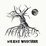 Nemoreus, Silent Watch, black metal, folk metal, metal Nemoreus, Silent Watch, black metal, folk metal, metal