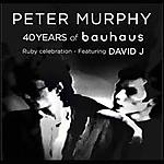 Peter Murphy, David J. 40 years of Bauhaus, Bauhaus, Desert Mountain Tribe, gothic rock Peter Murphy, David J. 40 years of Bauhaus, Bauhaus, Desert Mountain Tribe, gothic rock