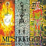 Meshuggah, Destroy Erase Improve