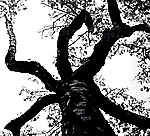 Cathedral, doom metal, Rigor Mortiss Brud, Wbrewny, ambient, noise Cathedral, doom metal, Rigor Mortiss Brud, Wbrewny, ambient, noise