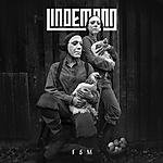 Lindemann, Pain, Peter Tägtgren, Till Lindemann, Rammstein, electro, metal, F&M, Hypocrisy