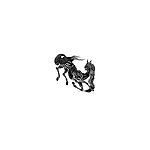 Muladona, Eric Stener Carlson, Rorcal, post black metal, sludge metal, black metal Muladona, Eric Stener Carlson, Rorcal, post black metal, sludge metal, black metal