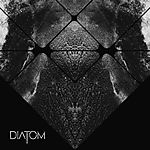 Diatom, Pies Z Kulawą Nogą, rock, proggressive rock, Michał Spryszak, Ropień Diatom, Pies Z Kulawą Nogą, rock, proggressive rock, Michał Spryszak, Ropień