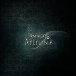 Artrosis - Imago