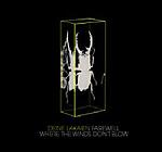 Deine Lakaien - Farewell