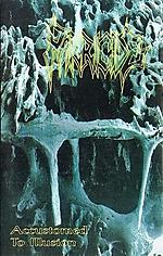 Parricide - Accustomed To Illusion