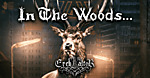 In The Woods na jedynym koncercie w Polsce