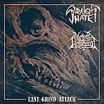 Straight Hate/Nuclear Holocaust - East Grind Attack