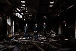 Polyptych - Defying the Metastasis