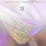 Psychotropic Transcendental wraca z drugą płytą