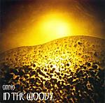 In The Woods... - Omnio